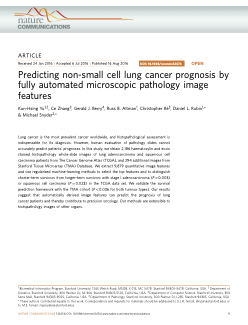 Nature Communications. 2016 Aug 16;7:12474.